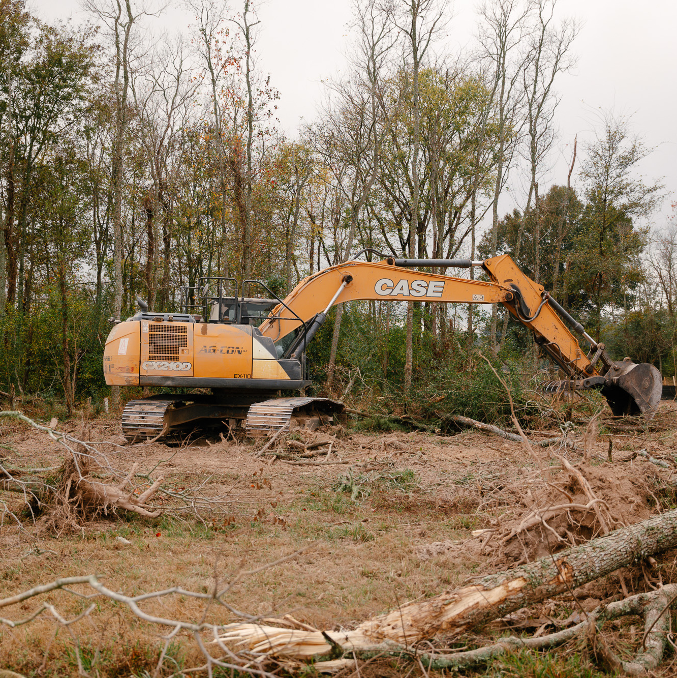 Yellow CASE excavator clears trees in a sparse, cloudy forest.